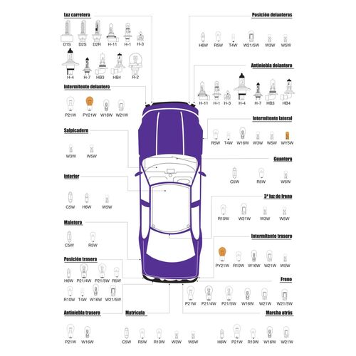 Lámpara Halógena 12V 55W Faro H1 P14,5S